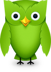 duolingo-owl
